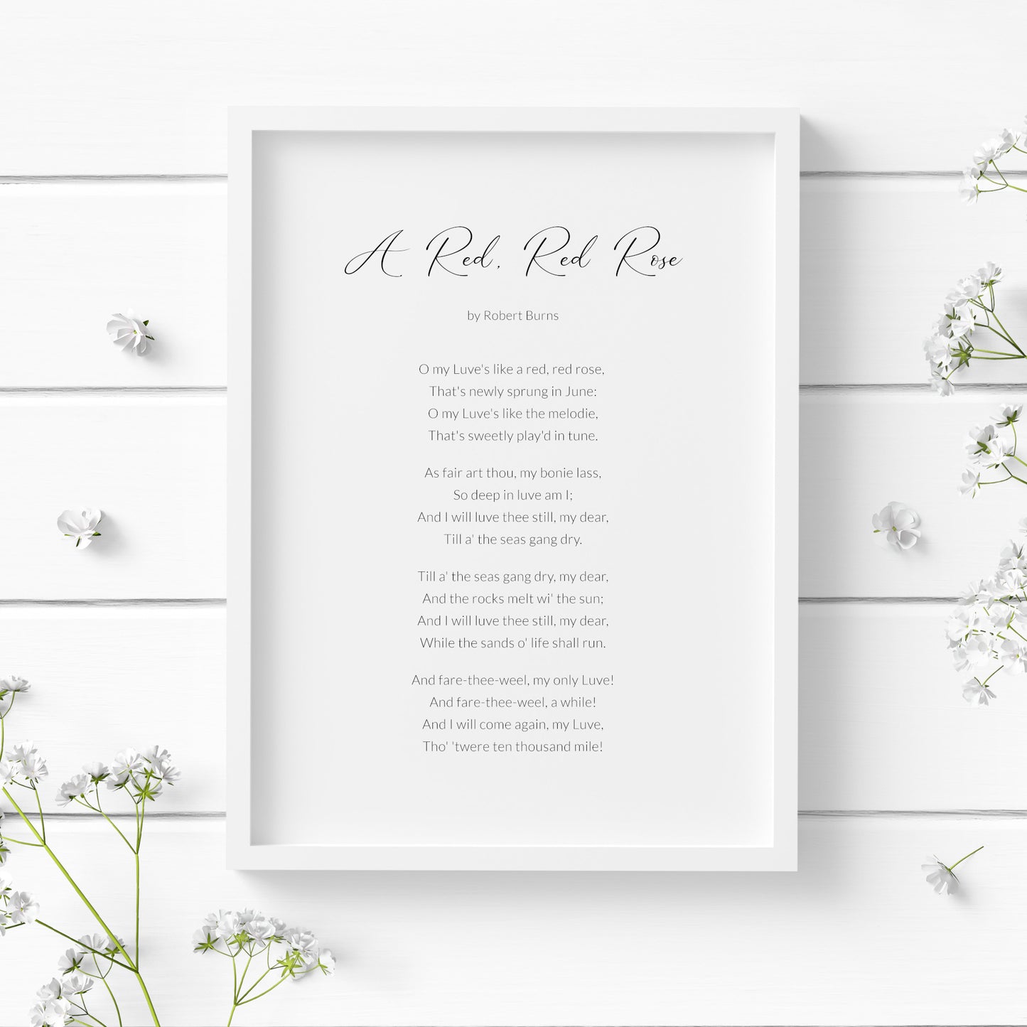 Single portrait typography print featuring the poem A Red, Red Rose by Robert Burns. Title is in an elegant script font, with the attribution and body copy in a crisp sans serif font. Text is black on a white background and styling is contemporary.