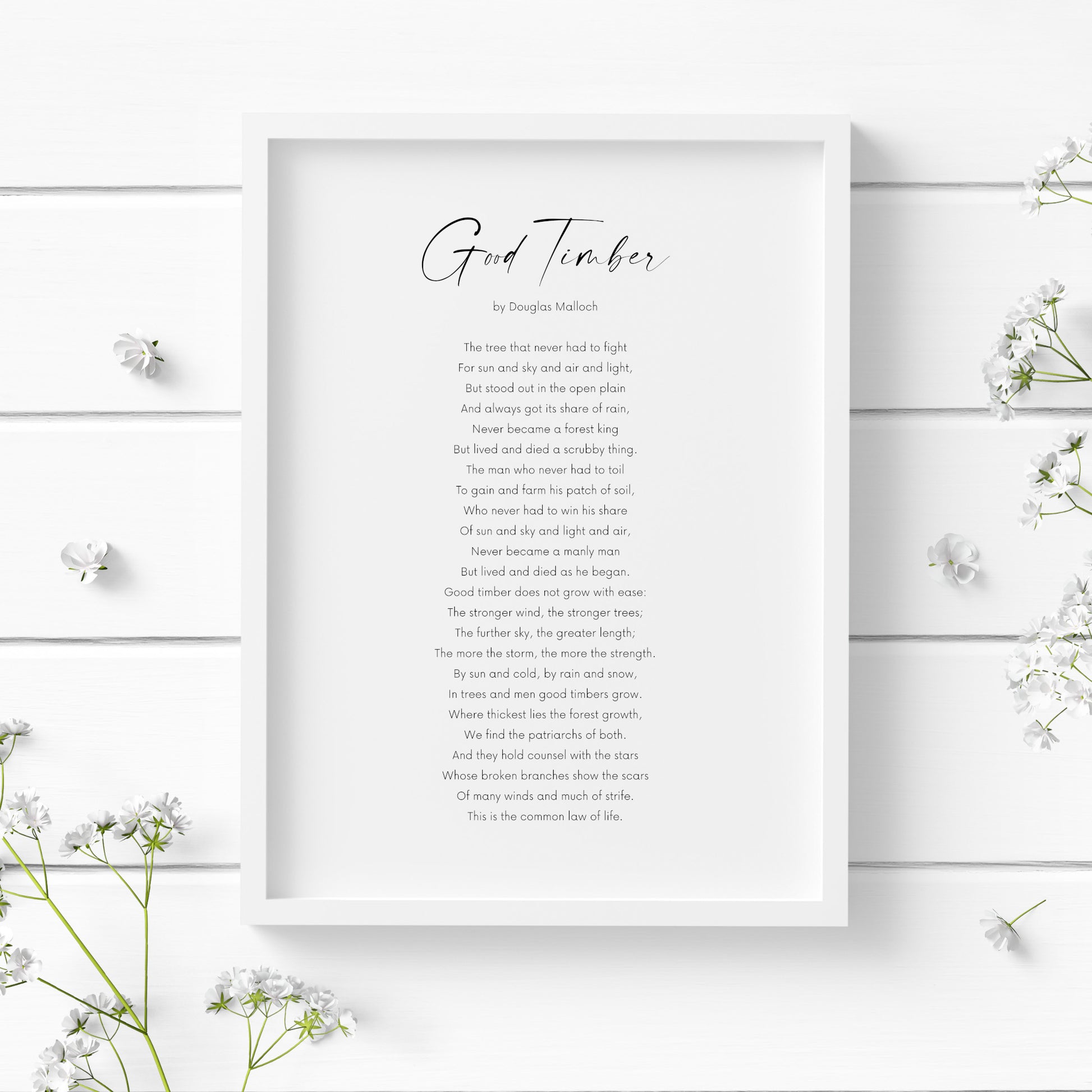 Single portrait typography print featuring the poem Good Timber by Douglas Malloch. The title is in a contemporary script font, with the body copy and attribution in a crisp sans serif font. Text is black on a white background.